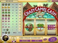 Crazy Camel Cash Slots Crazy Camel Cash Slots